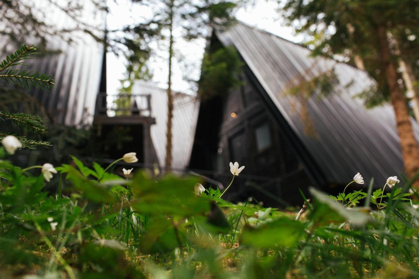 Zlatair Black Boutique Chalet
